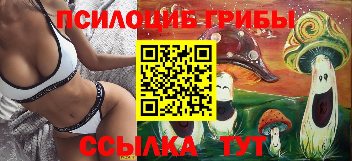 Галлюциногенные грибы прущие грибы Касимов